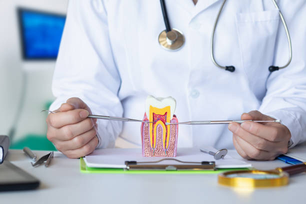 Best Emergency Orthodontic Repairs in Tangerine, FL